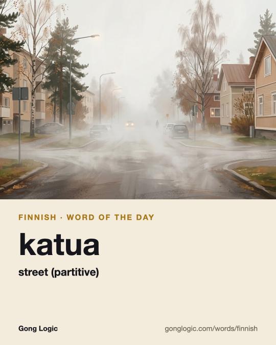 The Finnish word katua, illustrated