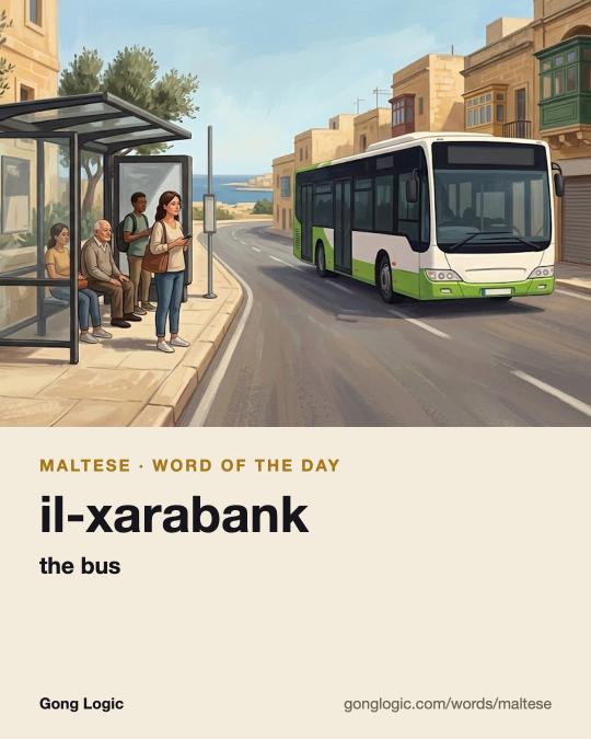 The Maltese word il-xarabank, illustrated