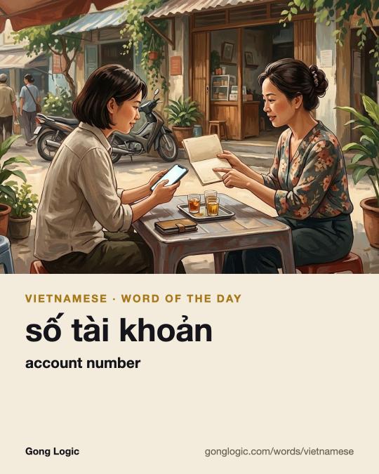The Vietnamese word số tài khoản, illustrated